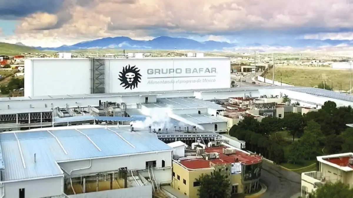 grupo bafar